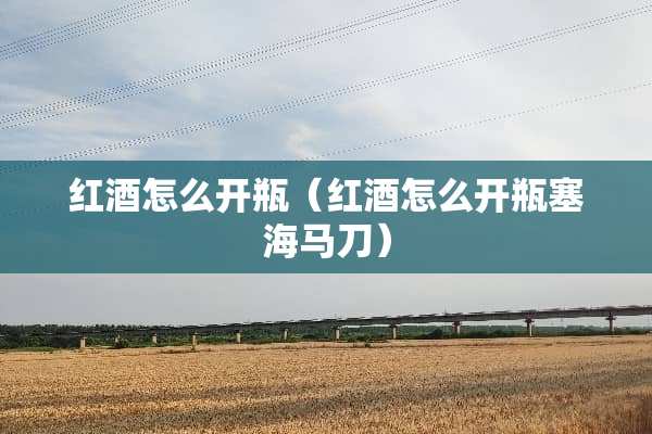 红酒怎么开瓶（红酒怎么开瓶塞海马刀）