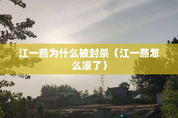 江一燕为什么被**（江一燕怎么凉了）
