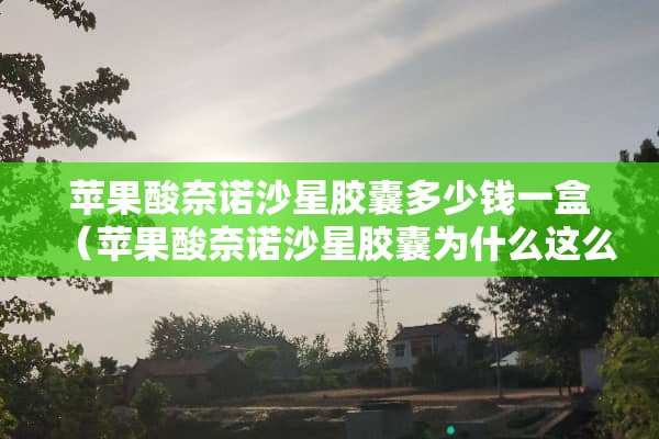 苹果酸奈诺沙星胶囊多少钱一盒（苹果酸奈诺沙星胶囊为什么这么贵）