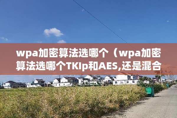 wpa加密算法选哪个（wpa加密算法选哪个TKIp和AES,还是混合）