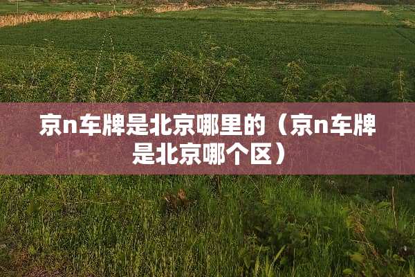 京n车牌是北京哪里的（京n车牌是北京哪个区）