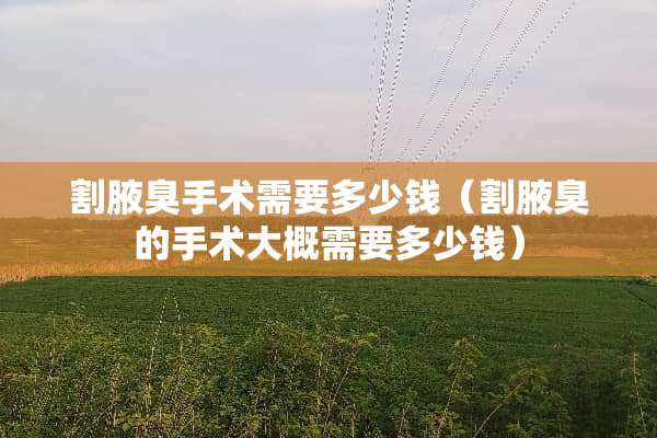 割腋臭手术需要多少钱（割腋臭的手术大概需要多少钱）