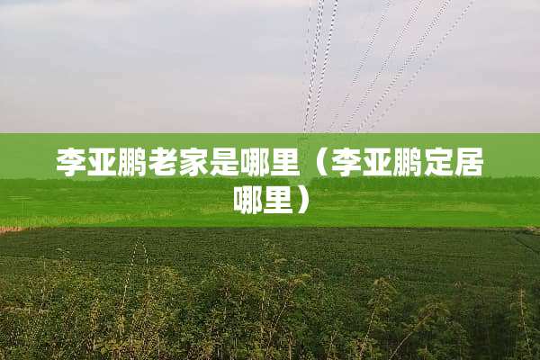 李亚鹏老家是哪里（李亚鹏定居哪里）