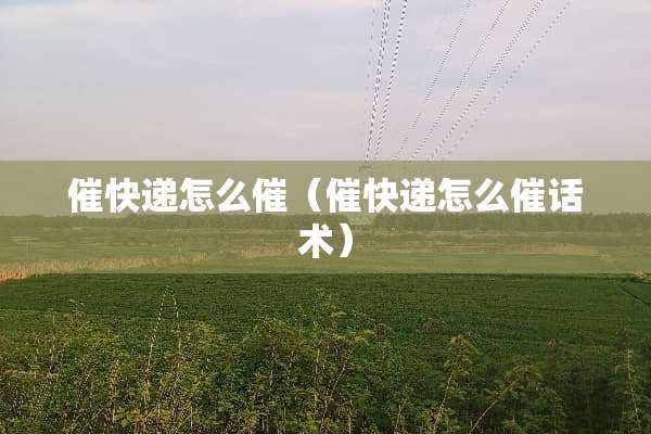 催快递怎么催（催快递怎么催话术）