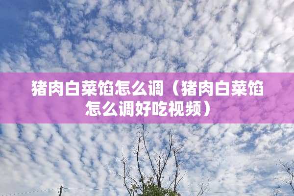 猪肉白菜馅怎么调（猪肉白菜馅怎么调好吃视频）