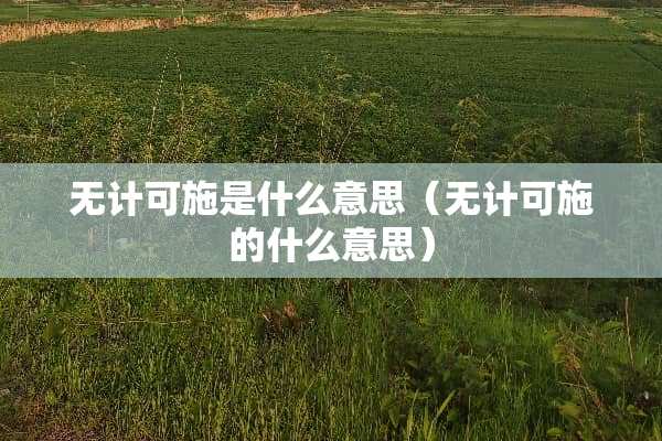 无计可施是什么意思（无计可施的什么意思）