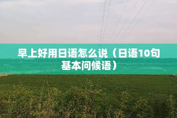 早上好用日语怎么说（日语10句基本问候语）