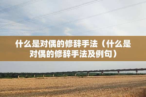 什么是对偶的修辞手法（什么是对偶的修辞手法及例句）