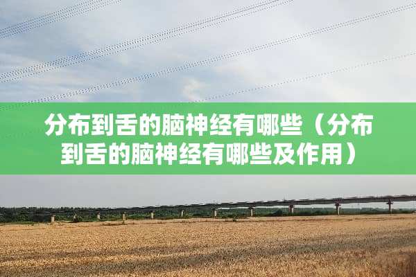 分布到舌的脑神经有哪些（分布到舌的脑神经有哪些及作用）