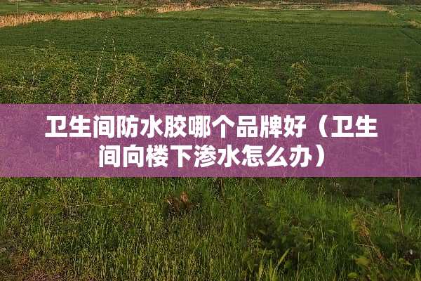 卫生间防水胶哪个品牌好（卫生间向楼下渗水怎么办）