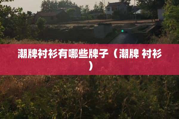 潮牌衬衫有哪些牌子（潮牌 衬衫）