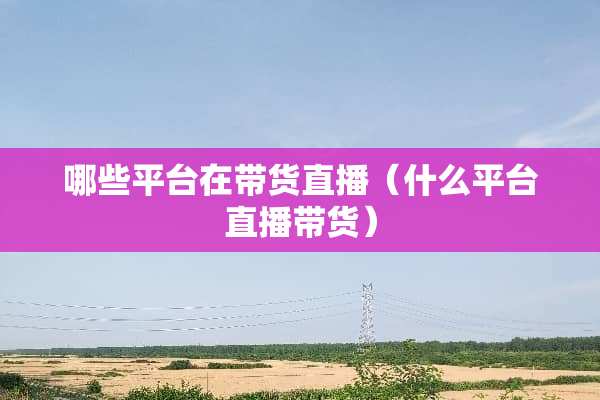 哪些平台在带货直播（什么平台直播带货）
