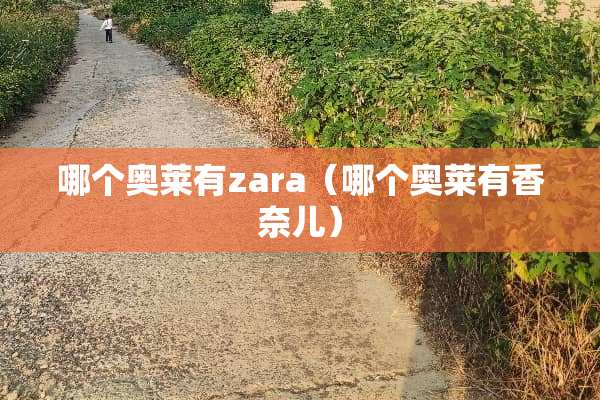 哪个奥莱有zara（哪个奥莱有香奈儿）