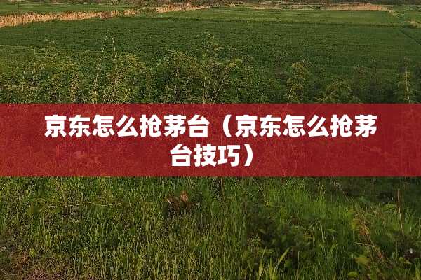 京东怎么抢茅台（京东怎么抢茅台技巧）