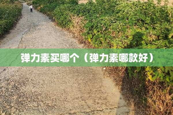 弹力素买哪个（弹力素哪款好）