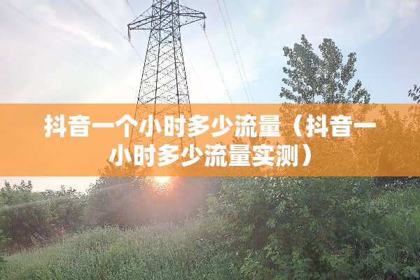 抖音一个小时多少流量（抖音一小时多少流量实测）