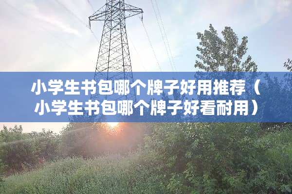 小学生书包哪个牌子好用推荐（小学生书包哪个牌子好看耐用）