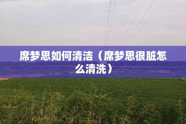 席梦思如何清洁（席梦思很脏怎么清洗）