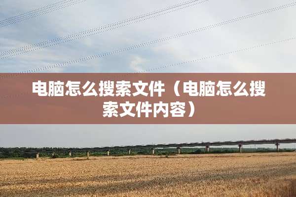 电脑怎么搜索文件（电脑怎么搜索文件内容）