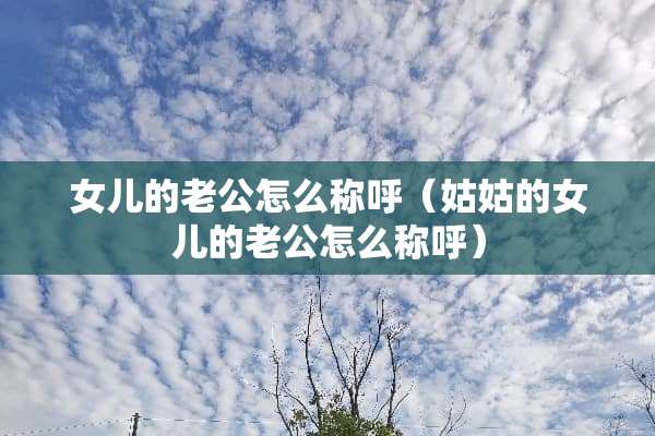 女儿的老公怎么称呼（姑姑的女儿的老公怎么称呼）