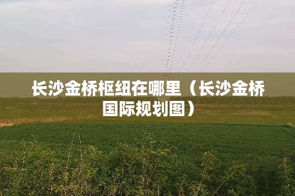 长沙金桥枢纽在哪里（长沙金桥国际规划图）