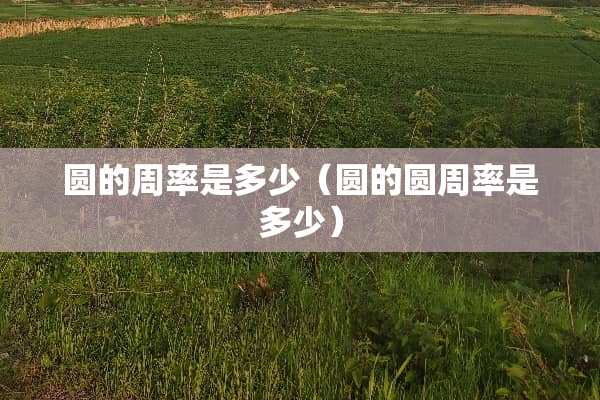 圆的周率是多少（圆的圆周率是多少）