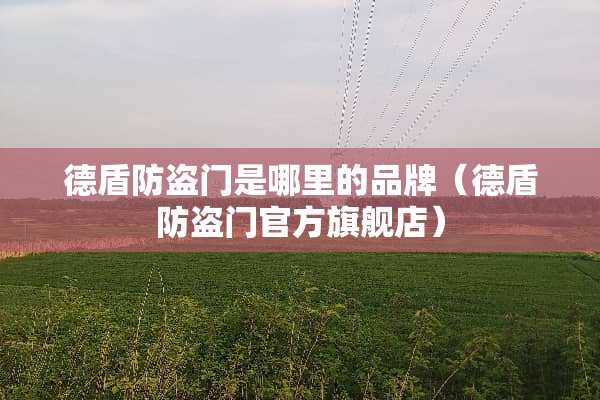 德盾防盗门是哪里的品牌（德盾防盗门官方旗舰店）