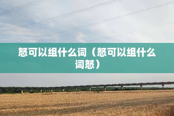 怒可以组什么词（怒可以组什么词怒）