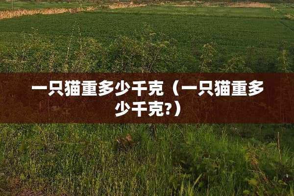 一只猫重多少千克（一只猫重多少千克?）