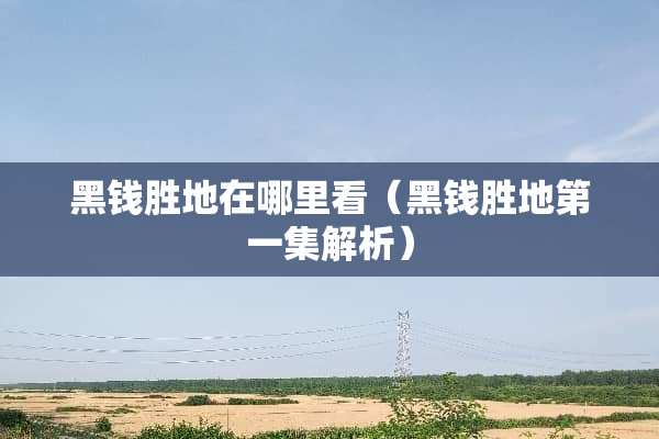黑钱胜地在哪里看（黑钱胜地第一集解析）