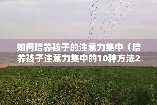 如何培养孩子的注意力集中（培养孩子注意力集中的10种方法2371阅读）