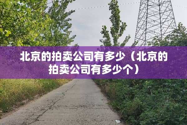 北京的拍卖公司有多少（北京的拍卖公司有多少个）