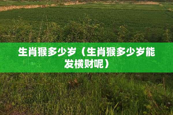 生肖猴多少岁（生肖猴多少岁能发横财呢）