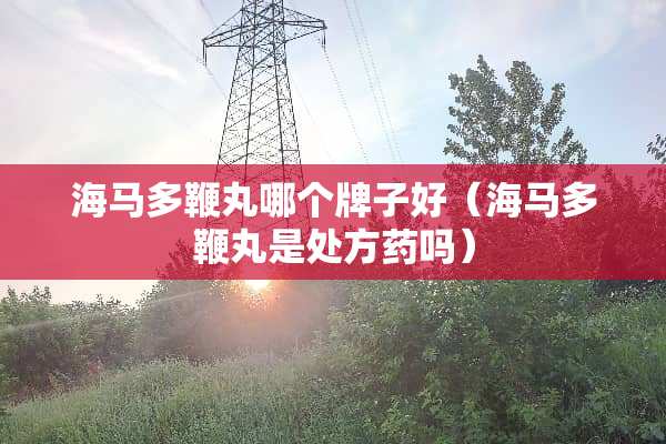 海马多鞭丸哪个牌子好（海马多鞭丸是处方药吗）