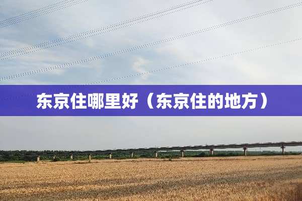 东京住哪里好（东京住的地方）