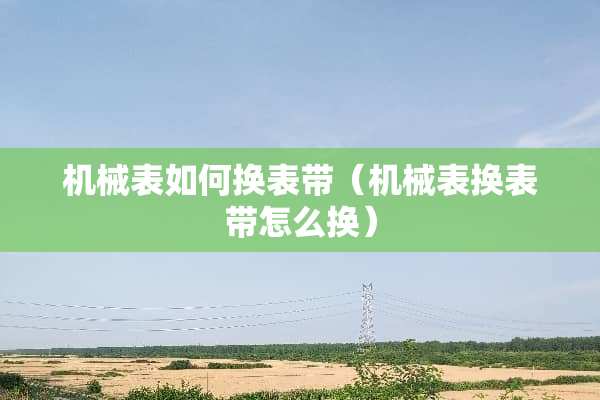 机械表如何换表带（机械表换表带怎么换）