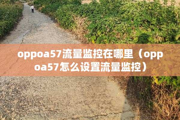 oppoa57流量监控在哪里（oppoa57怎么设置流量监控）