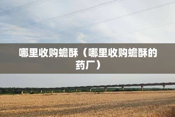 哪里收购蟾酥（哪里收购蟾酥的药厂）