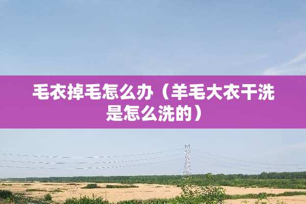 毛衣掉毛怎么办（羊毛大衣干洗是怎么洗的）
