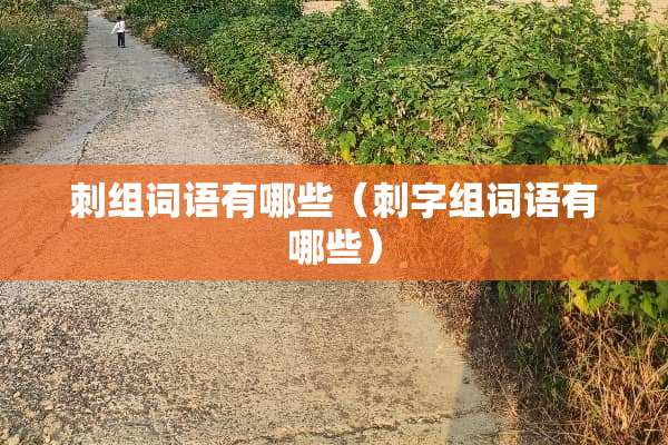 刺组词语有哪些（刺字组词语有哪些）