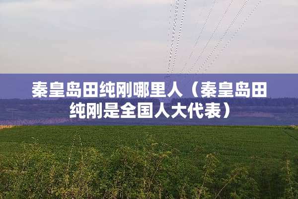 秦皇岛田纯刚哪里人（秦皇岛田纯刚是全国**代表）