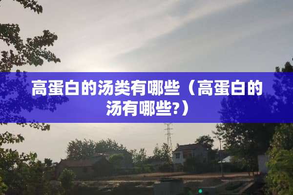 高蛋白的汤类有哪些（高蛋白的汤有哪些?）