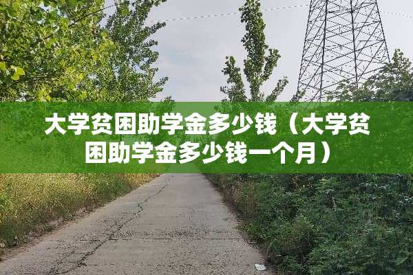 大学贫困助学金多少钱（大学贫困助学金多少钱一个月）