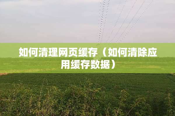 如何清理网页缓存（如何清除应用缓存数据）