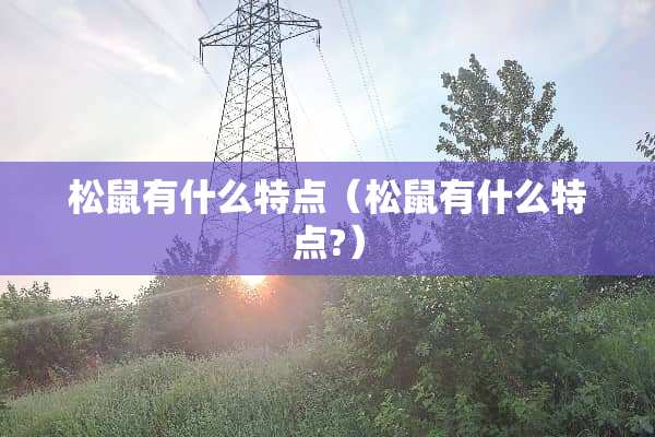 松鼠有什么特点（松鼠有什么特点?）