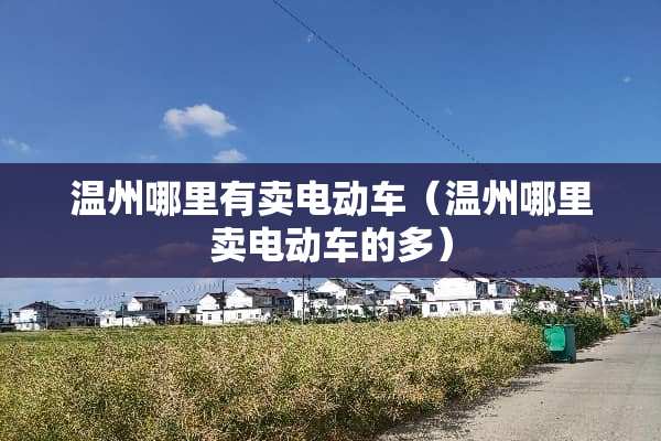 温州哪里有卖电动车（温州哪里卖电动车的多）