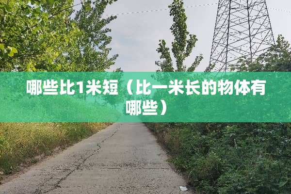 哪些比1米短（比一米长的物体有哪些）