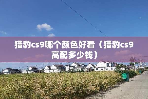 **cs9哪个颜色好看（**cs9高配多少钱）