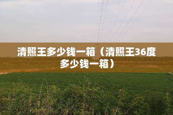 清照王多少钱一箱（清照王36度多少钱一箱）