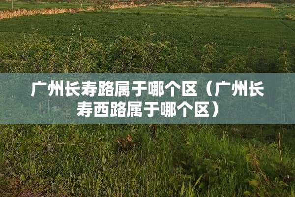 广州长寿路属于哪个区（广州长寿西路属于哪个区）